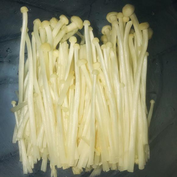 低脂减肥减脂餐：番茄豆腐菌菇汤