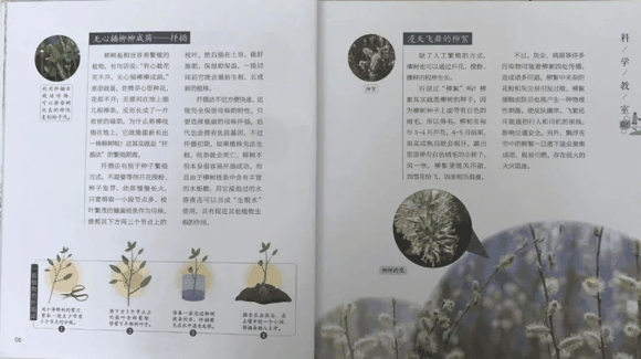 荐书|入学后抽空看，学龄前一定要看的这类书：提早接触小四门（物理、化学
