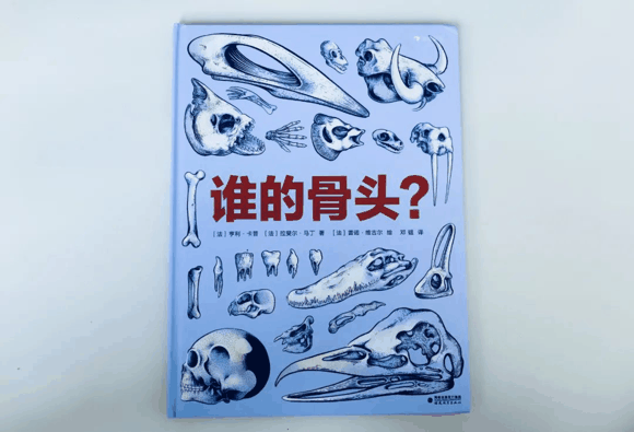 荐书|入学后抽空看，学龄前一定要看的这类书：提早接触小四门（物理、化学