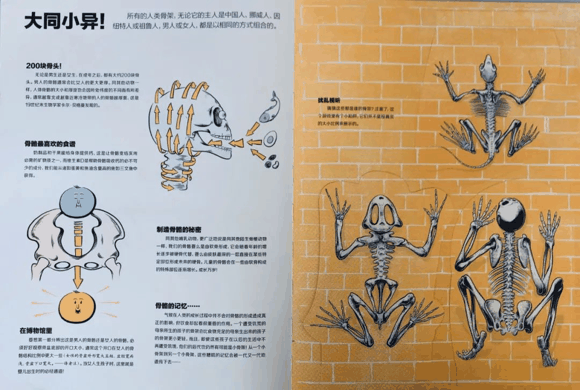 荐书|入学后抽空看，学龄前一定要看的这类书：提早接触小四门（物理、化学