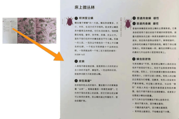 荐书|入学后抽空看，学龄前一定要看的这类书：提早接触小四门（物理、化学
