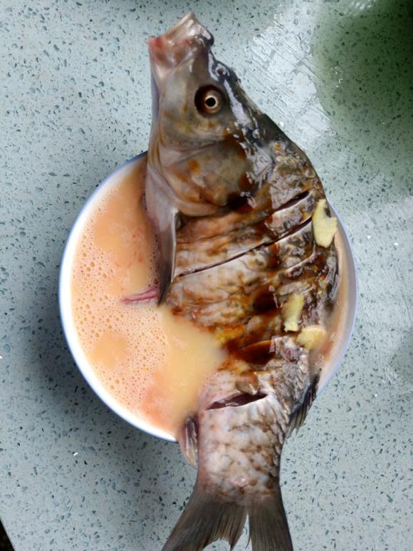 哺乳期食谱:鲫鱼蒸蛋
