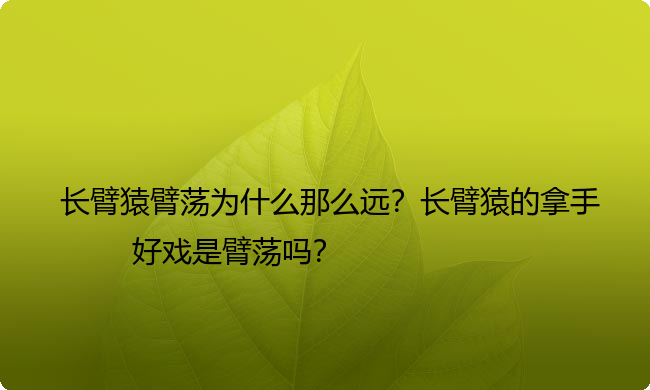 长臂猿臂荡为什么那么远？长臂猿的拿手好戏是臂荡吗？
