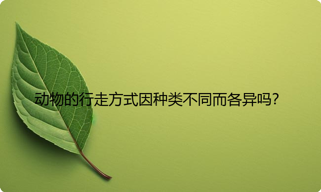 动物的行走方式因种类不同而各异吗？