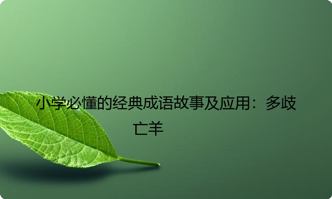 小学必懂的经典成语故事及应用：多歧亡羊