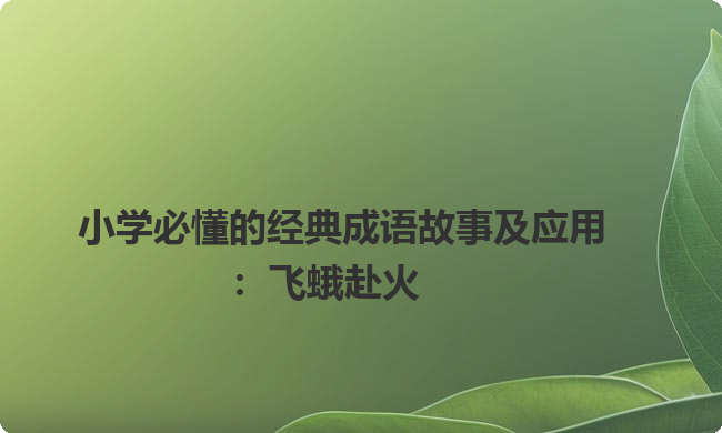 小学必懂的经典成语故事及应用：飞蛾赴火