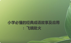 小学必懂的经典成语故事及应用：飞蛾赴火