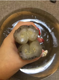 花胶海参炖排骨【季节交替提高免疫力】