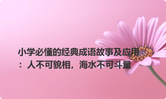 小学必懂的经典成语故事及应用：人不可貌相，海水不可斗量