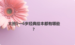 大班5一6岁经典绘本都有哪些？
