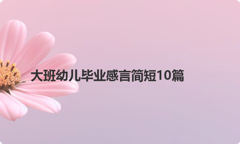 大班幼儿毕业感言简短10篇