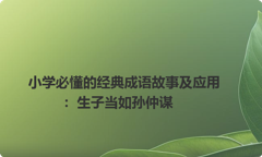小学必懂的经典成语故事及应用：生子当如孙仲谋