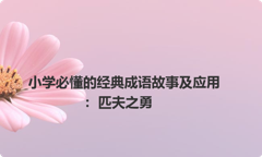 小学必懂的经典成语故事及应用：匹夫之勇