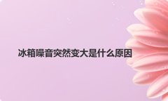 冰箱噪音突然变大是什么原因