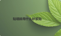 贴墙砖用什么砂浆贴