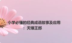 小学必懂的经典成语故事及应用：天壤王郎