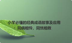 小学必懂的经典成语故事及应用：同病相怜，同忧相救
