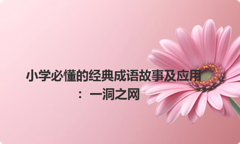小学必懂的经典成语故事及应用：一洞之网