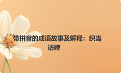 带拼音的成语故事及解释：织当访婢