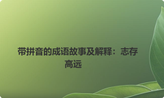 带拼音的成语故事及解释：志存高远