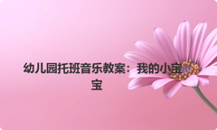 幼儿园托班音乐教案：我的小宝宝