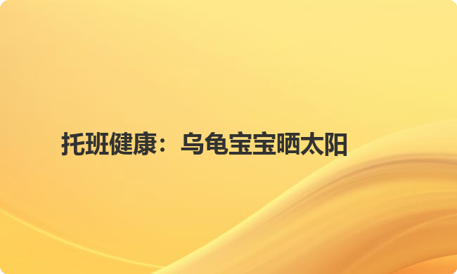 托班健康：乌龟宝宝晒太阳