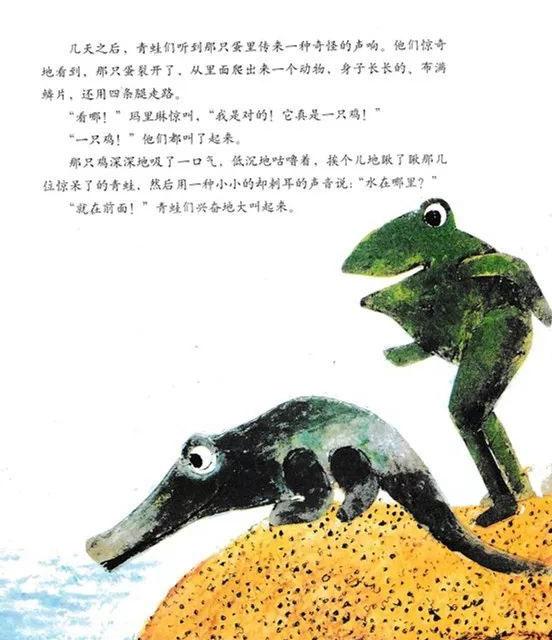 幼儿绘本故事：一只奇特的蛋