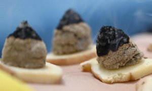 夏天什么时候做三伏灸，做三伏灸后长水泡了怎么办？