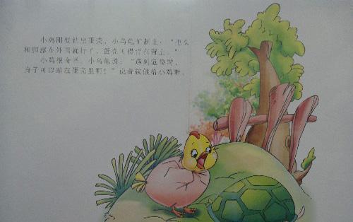 绘本：背着蛋壳的小鸡