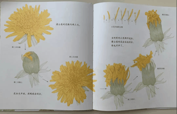 儿童科普书单|儿童科普书单有哪些？
