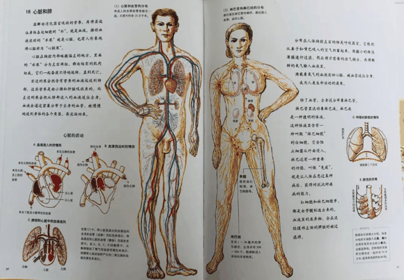 儿童科普书单|儿童科普书单有哪些？