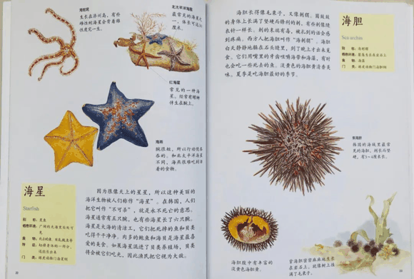 儿童科普书单|儿童科普书单有哪些？