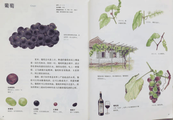 儿童科普书单|儿童科普书单有哪些？
