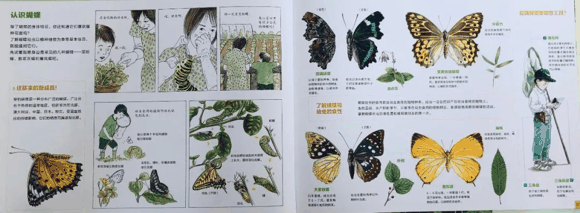 儿童科普书单|儿童科普书单有哪些？