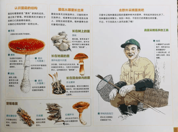 儿童科普书单|儿童科普书单有哪些？