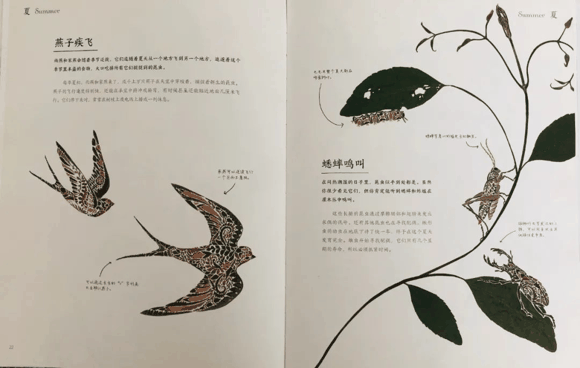 儿童科普书单|儿童科普书单有哪些？