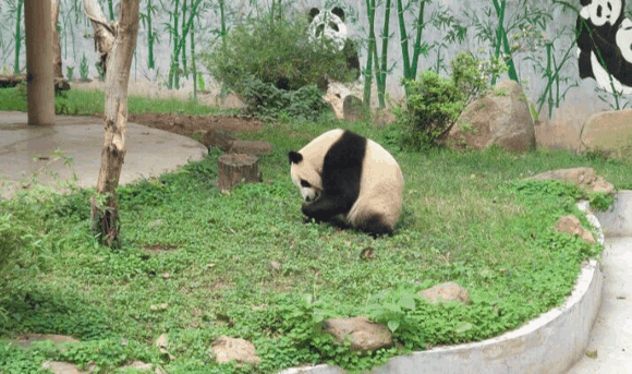 广东广州十大旅游景点排行榜：长隆欢乐世界，广州AAAA级景区推荐
