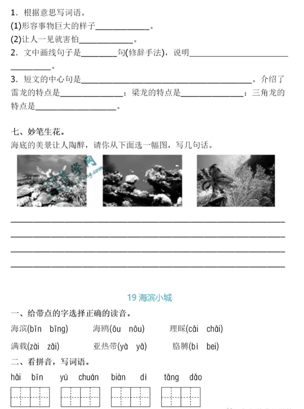 三年级语文上册第六单元知识点梳理+一课一练精编练习