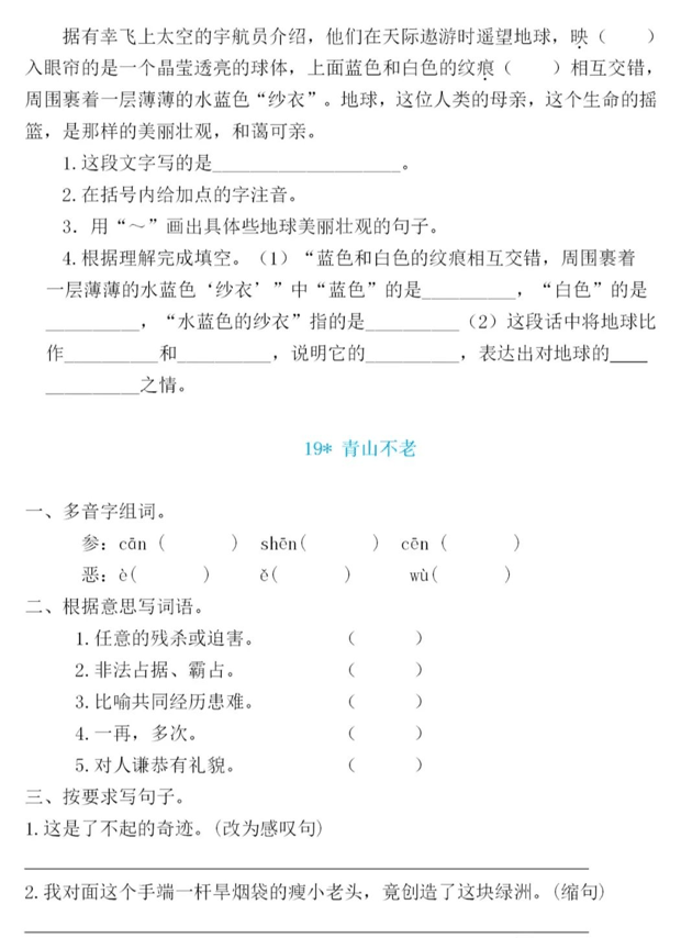 六年级语文上册第六单元知识点梳理+一课一练精编练习