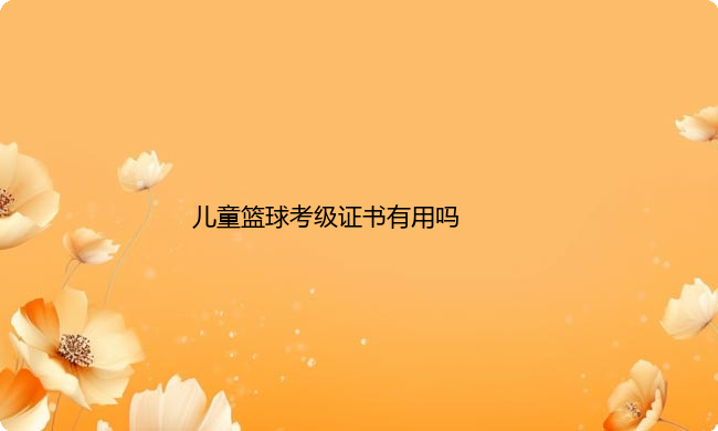 儿童篮球考级证书有用吗