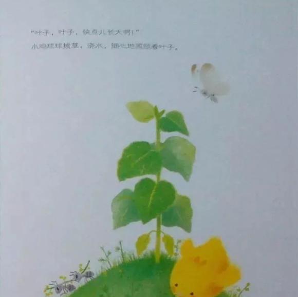 儿童绘本故事推荐：小鸡球球和向日葵