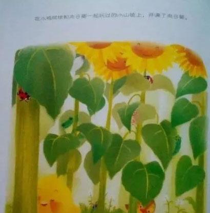 儿童绘本故事推荐：小鸡球球和向日葵