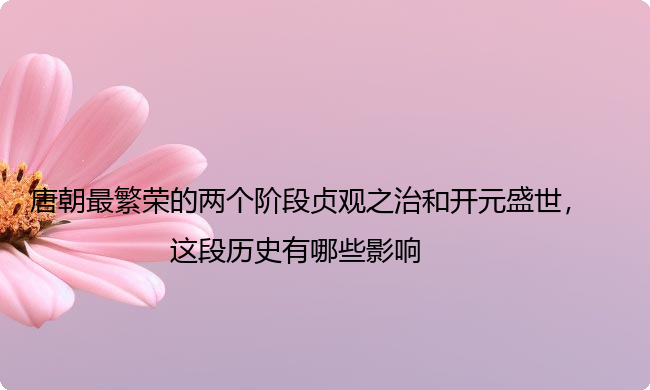 唐朝最繁荣的两个阶段贞观之治和开元盛世,这段历史有哪些影响 唐朝最繁荣的两个阶段贞观之治和开元盛世,这段历史有哪些影响