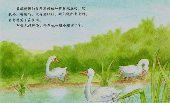 绘本：小熊孵蛋