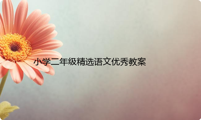 小学二年级精选语文优秀教案