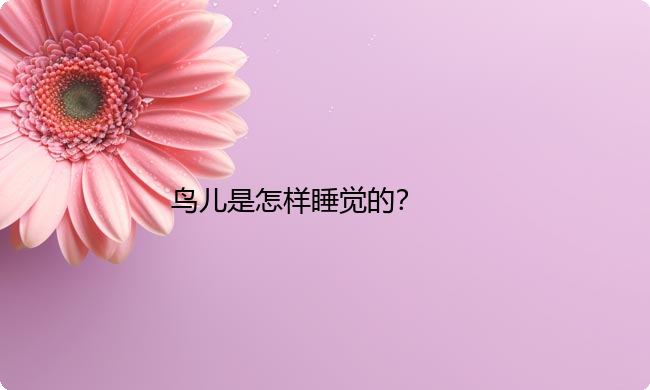 鸟儿是怎样睡觉的？
