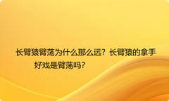 长臂猿臂荡为什么那么远？长臂猿的拿手好戏是臂荡吗？