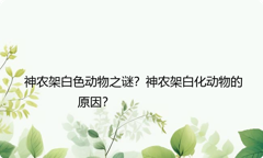 神农架白色动物之谜？神农架白化动物的原因？