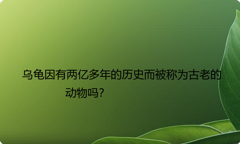 乌龟因有两亿多年的历史而被称为古老的动物吗？