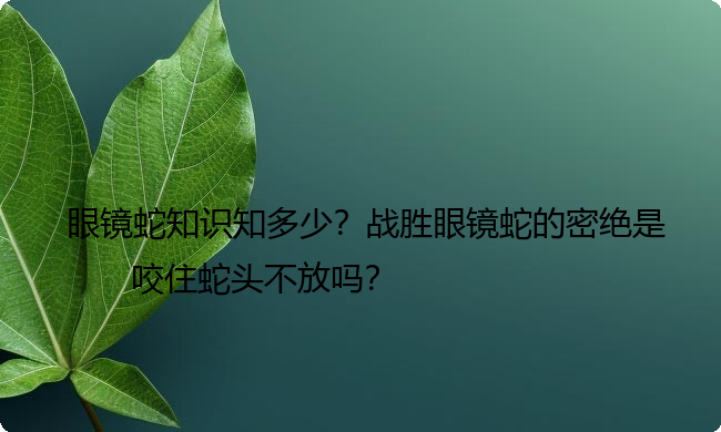 眼镜蛇知识知多少？战胜眼镜蛇的密绝是咬住蛇头不放吗？